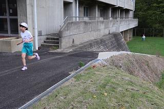 IMG_1009.jpg