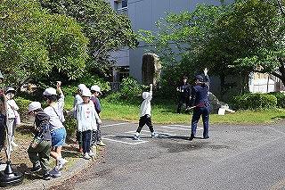 IMG_3376.jpg