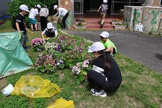 IMG_3529.jpg