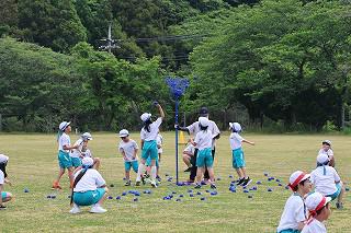 IMG_3587.jpg