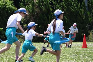 IMG_4038.jpg