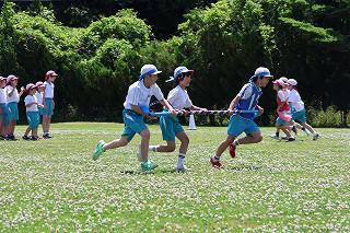 IMG_4070.jpg