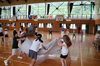 IMG_4317.jpg