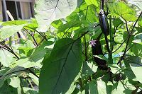 IMG_4497.jpg