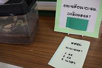 IMG_4606.jpg