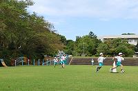 IMG_4734.jpg