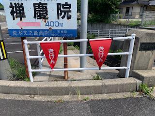 IMG_5091.jpg