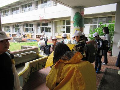 IMG_9006.jpg