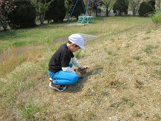 IMG_9041.jpg