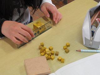 IMG_9071.jpg