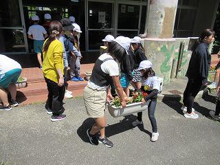 IMG_9220.jpg