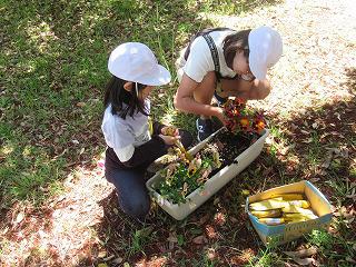 IMG_9227.jpg
