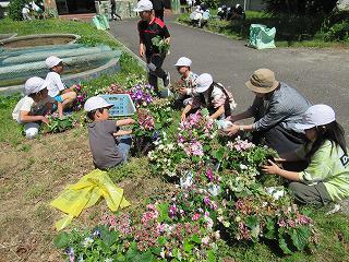 IMG_9229.jpg