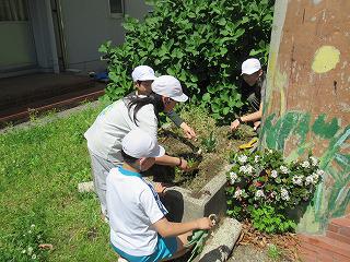 IMG_9231.jpg