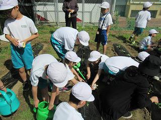 IMG_9343.jpg