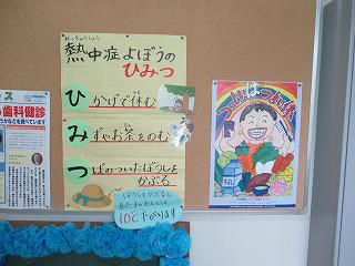 IMG_9378.jpg