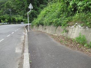 IMG_9436.jpg