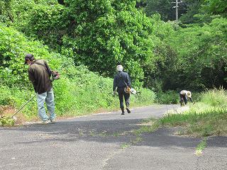 IMG_9507.jpg