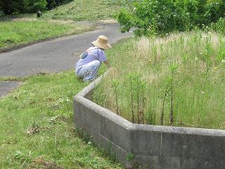 IMG_9512.jpg