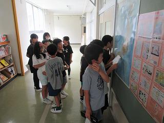 IMG_9536.jpg
