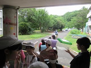 IMG_9854.jpg