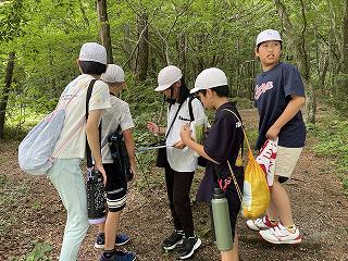 Image_20250613_113203_163.jpg