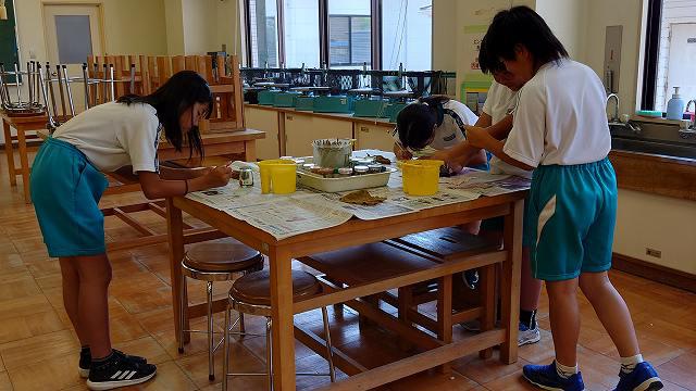 J20240607_135559.jpg