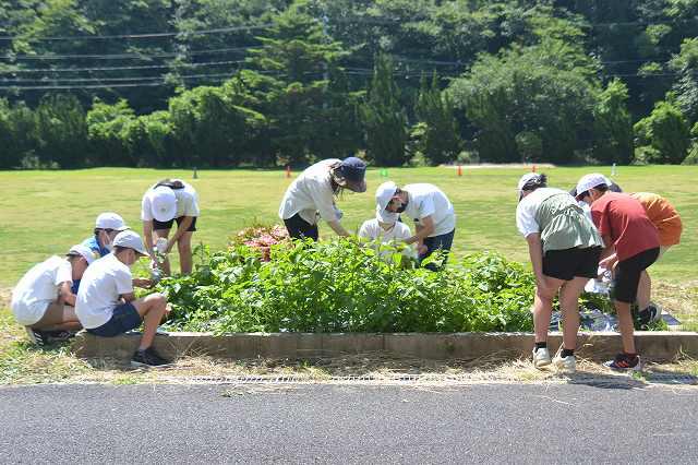 KDSC_0106.jpg