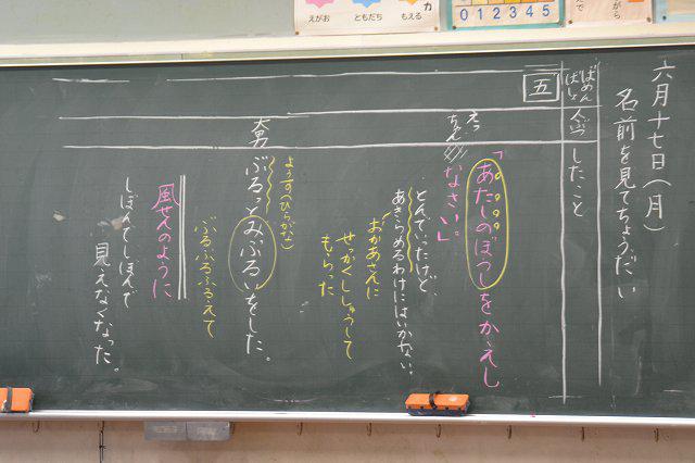 LDSC_0131.jpg
