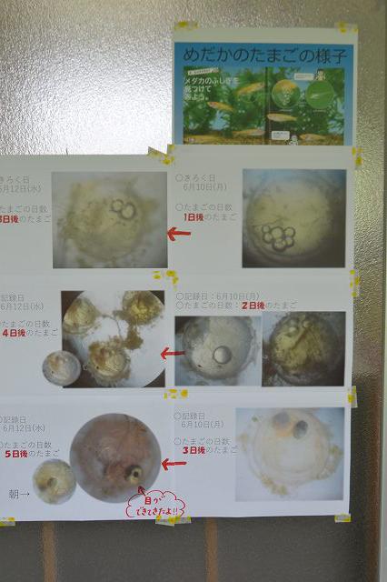 LDSC_0134.jpg