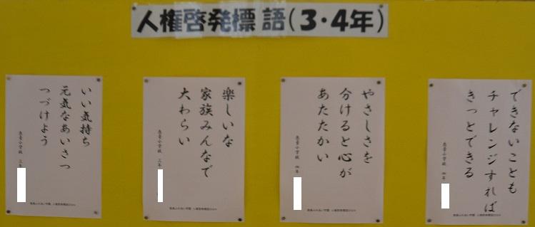 NOVDSC_1069.jpg