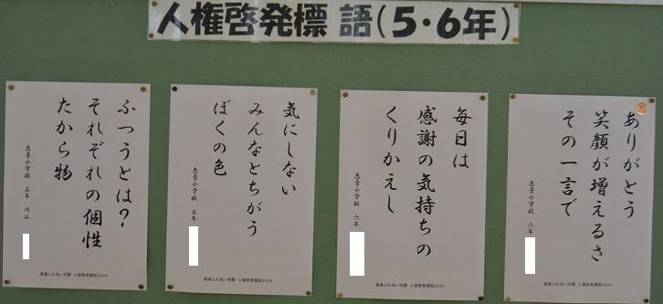 NOVDSC_1070.jpg