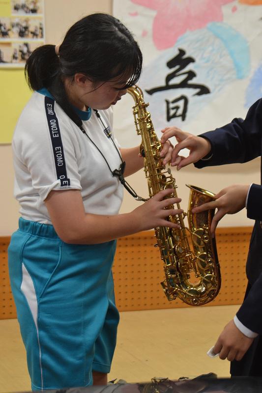 NOVDSC_1167.jpg