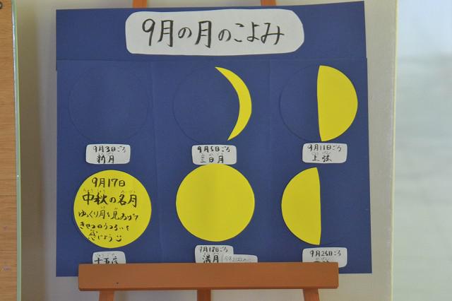 SepDSC_0482.jpg