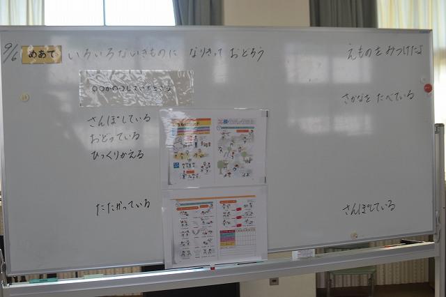 SepDSC_0489.jpg