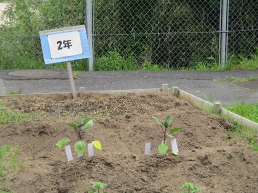 IMG_7727 - コピー.JPG