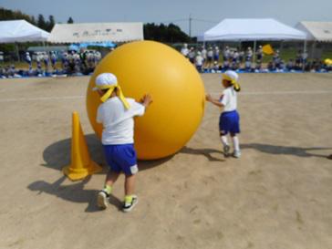DSCN6366.JPG