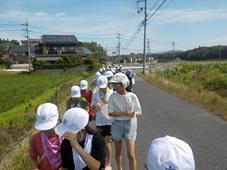 DSCN6653.JPG