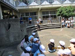 IMG_0537.JPG