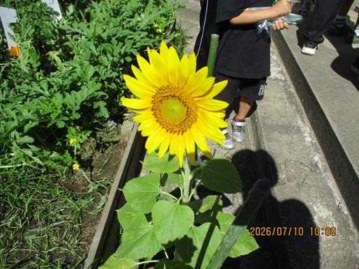 IMG_0778.JPG