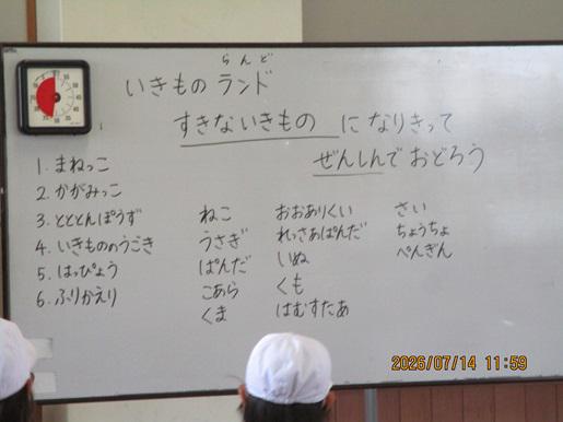IMG_0915.JPG