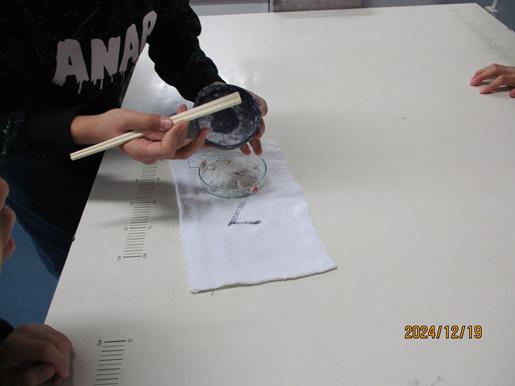 IMG_4533.JPG