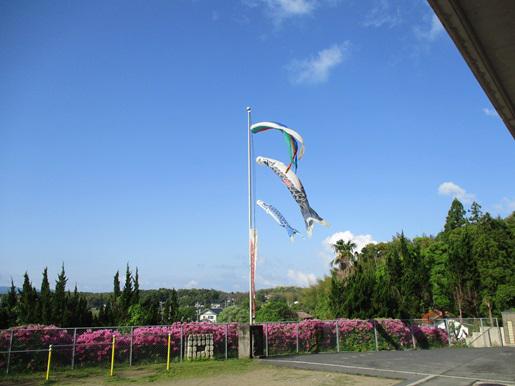 IMG_7431.JPG