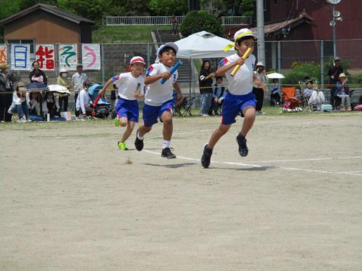 IMG_8046.JPG