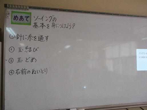 IMG_8584.JPG