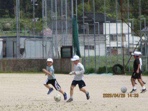 IMG_8608.JPG