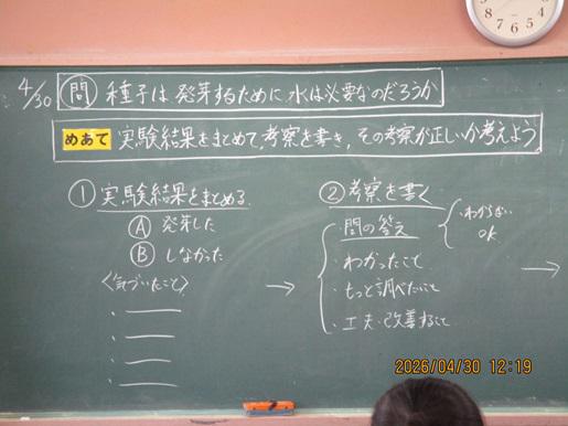 IMG_8629.JPG