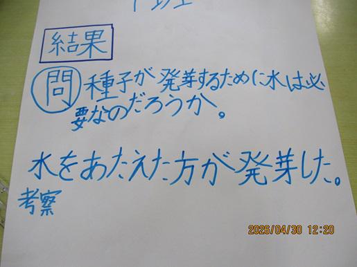IMG_8633.JPG