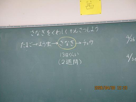 IMG_8637.JPG