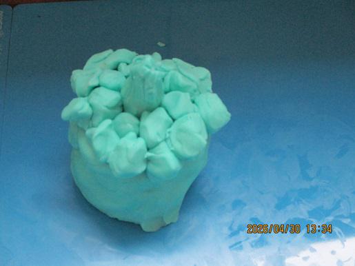 IMG_8653.JPG